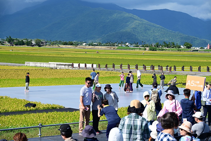 Nikon Zf+24-200mm：2023池上秋收稻穗藝術節，雲門舞集池上專屬版"天光•霞"。