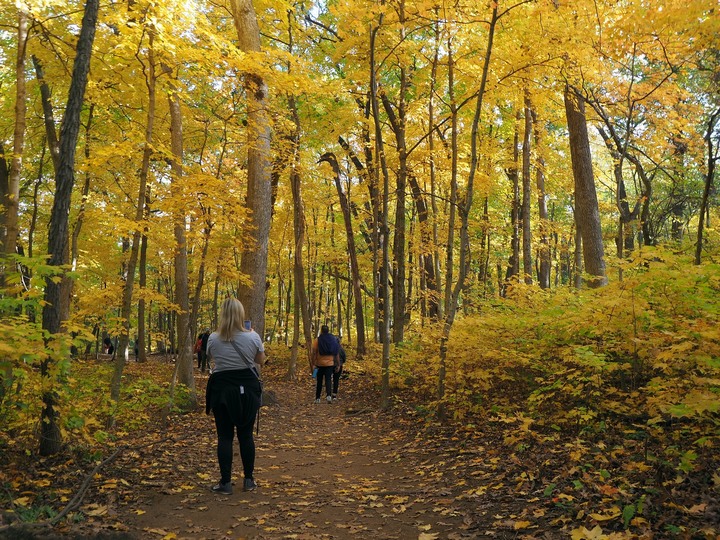 Ohio爸爸的相片書 再訪飢餓岩石州立公園Starved Rock State Park - 賞楓之旅