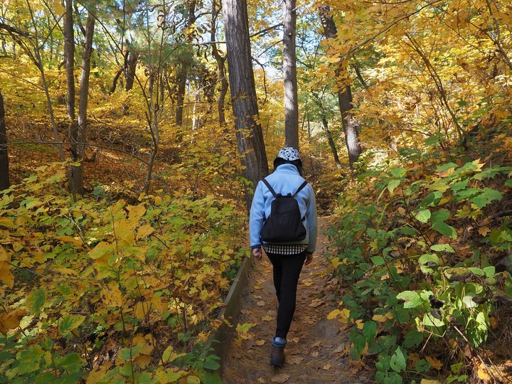 Ohio爸爸的相片書 再訪飢餓岩石州立公園Starved Rock State Park - 賞楓之旅