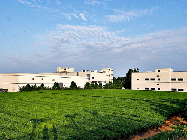 臺灣客家茶文化館、太平紅橋、龍潭大池、鍾肇政文學生活園區、武德殿 — 茶鄉龍潭一日行旅,外掛香噴噴的炸全雞配涼麵