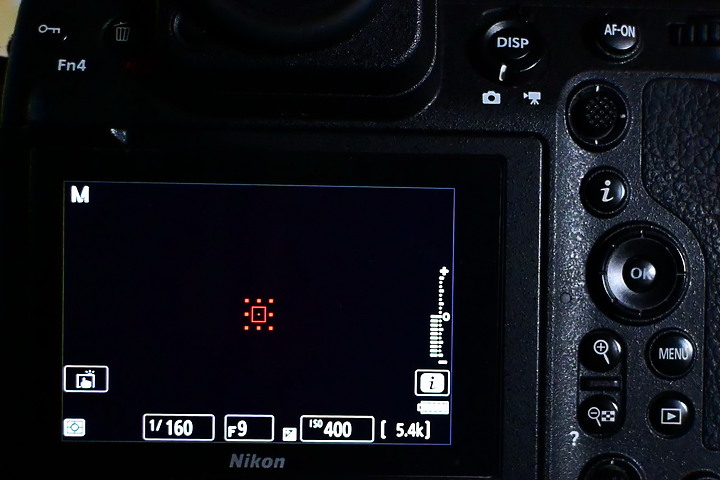 點我看大圖 Nikon Z9韌體4.10拍籠中鳥,因對焦點與籠子間隙接近產生誤差,有對到鳥眼,卻是清楚拍到籠子。