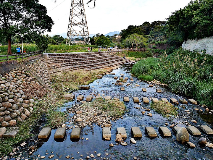 臺灣客家茶文化館、太平紅橋、龍潭大池、鍾肇政文學生活園區、武德殿 — 茶鄉龍潭一日行旅,外掛香噴噴的炸全雞配涼麵