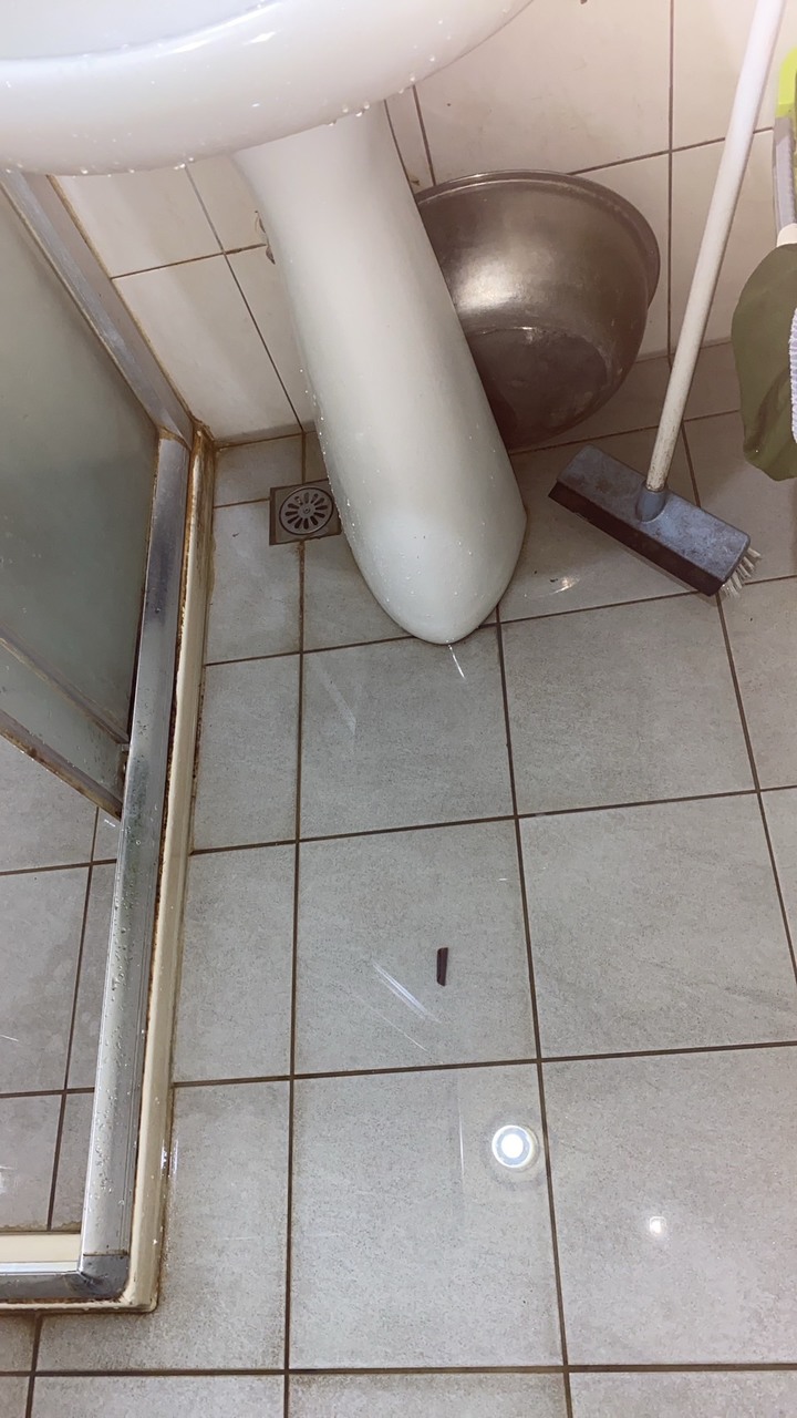 浴室乾濕分離淹水問題請教