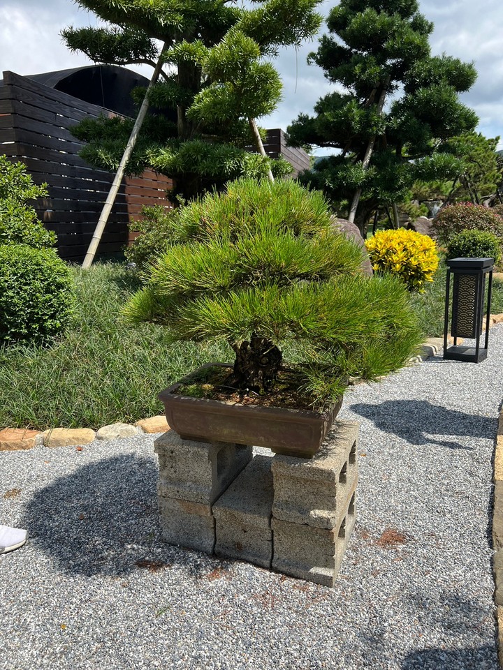 陽明山的秘密基地....先生的園參訪心得