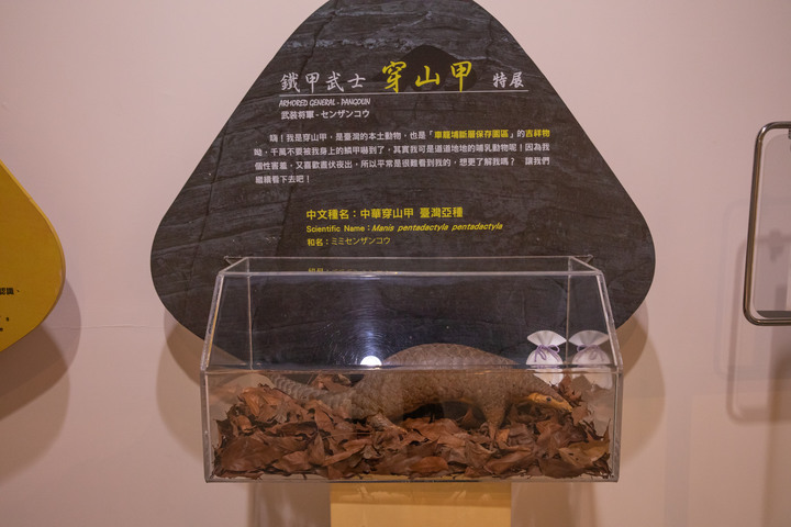 竹山半日遊 ~ 紫南宮、車籠埔斷層保存園區、竹青庭、丸二米粉、大崙山觀霧亭、竹山水路