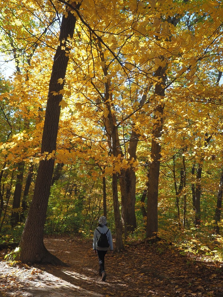 Ohio爸爸的相片書 再訪飢餓岩石州立公園Starved Rock State Park - 賞楓之旅