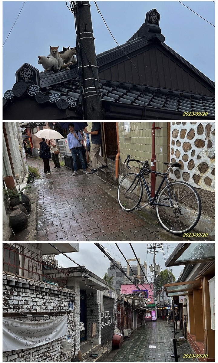 韓式浪漫 - 江村鐵道自行車