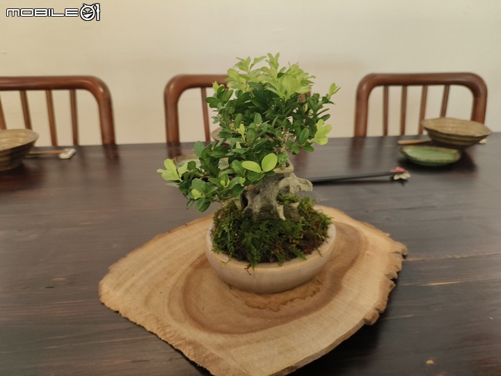 [食記] 新店日式庭院風餐廳－藏仙庵，放鬆享受無負擔日式家庭素食料理