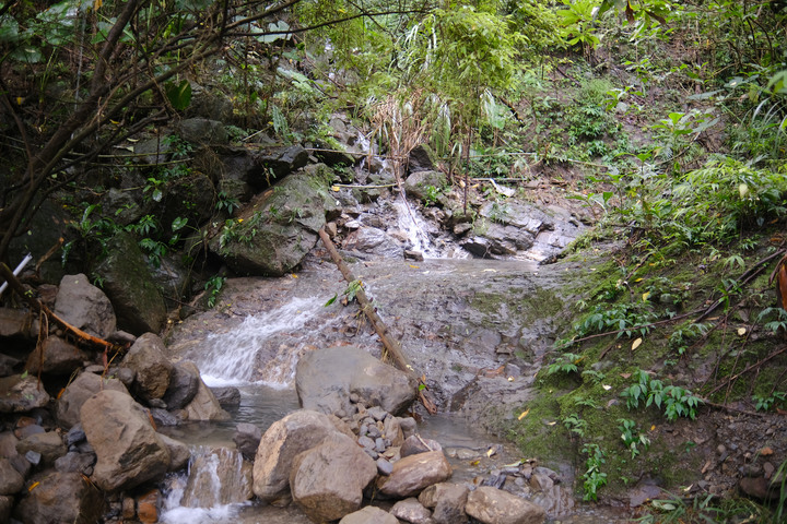 【竹子尖山】梅嶺古道踏青好地方 | 台南第二高小百岳
