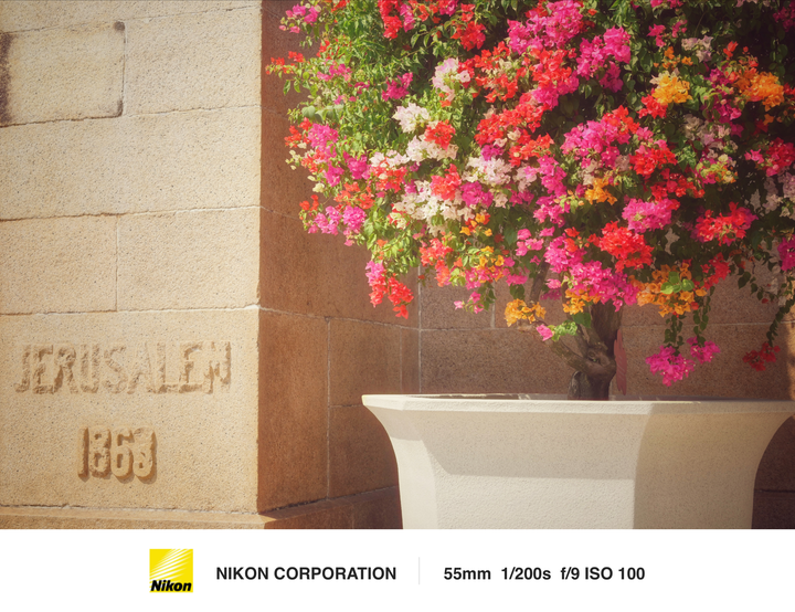 Z6還是那臺Z6，東山口街頭隨拍（24-70mm f/4 KIT鏡頭）