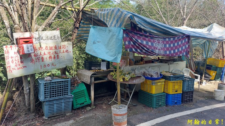 馬那邦山 原始楓林!|細道邦山 豆腐?棺材?
