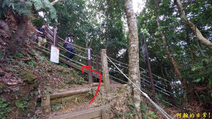 馬那邦山 原始楓林!|細道邦山 豆腐?棺材?