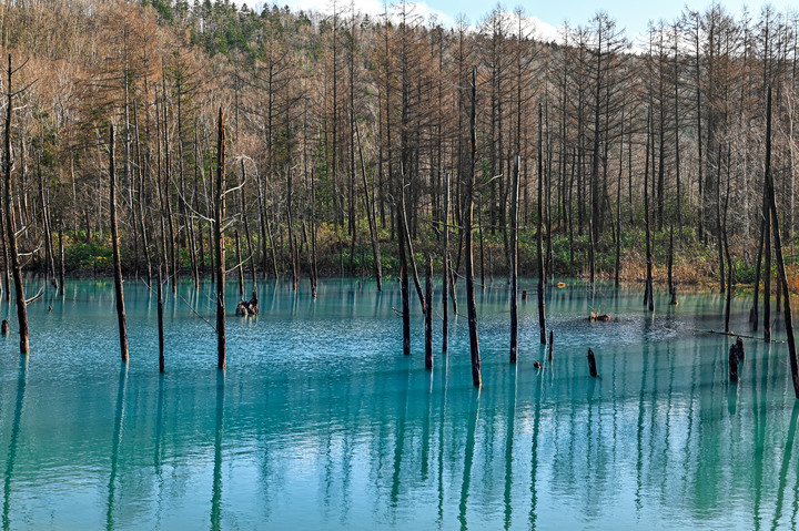 在錯的時間遇上錯的的天氣去北海道自由行