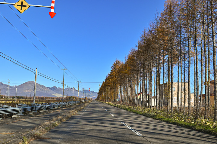 在錯的時間遇上錯的的天氣去北海道自由行