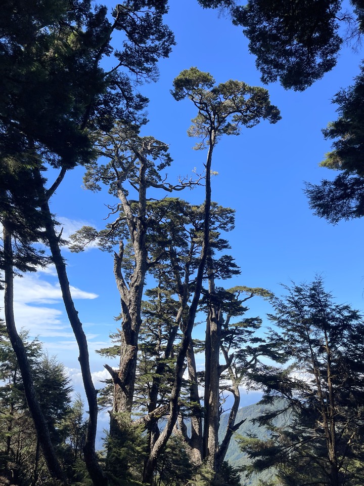 遠的要命的登山口 ─ 塑膠車雙載之一日往返小關山
