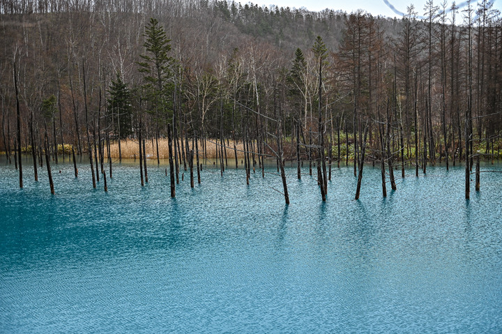 在錯的時間遇上錯的的天氣去北海道自由行