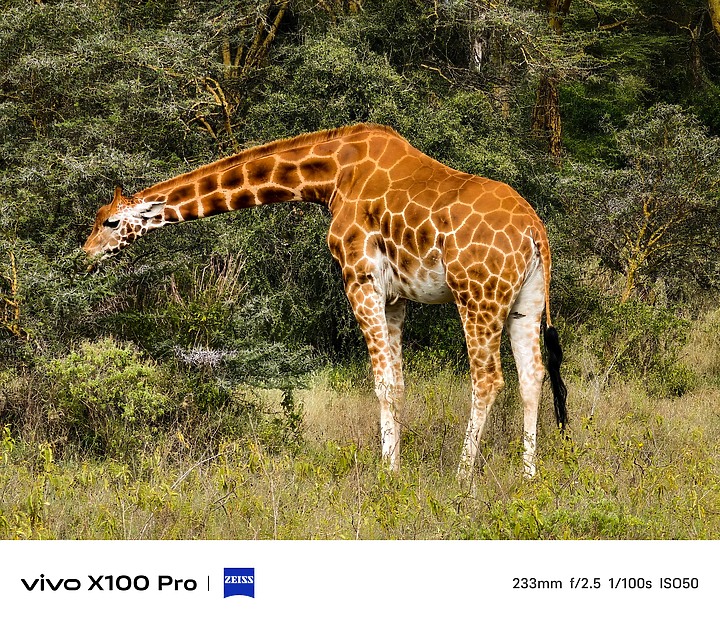 vivo X100 Pro 10x樣張（高解析度圖）