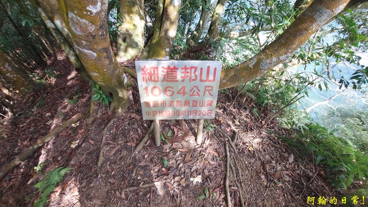 馬那邦山 原始楓林!|細道邦山 豆腐?棺材?