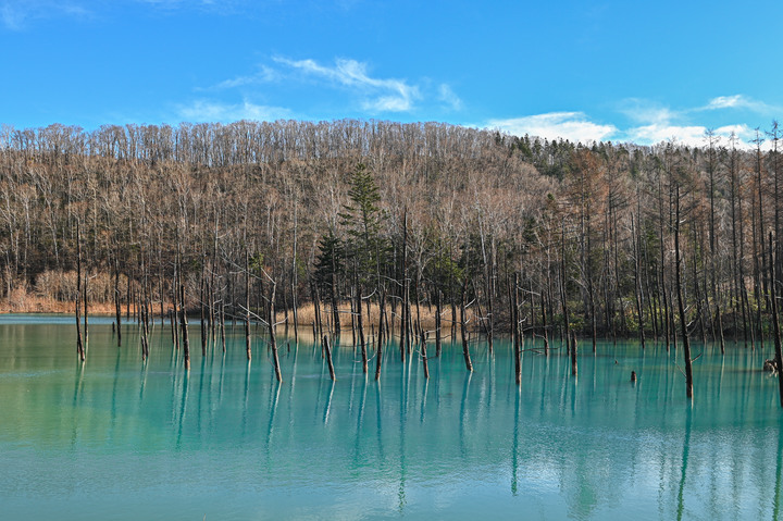 在錯的時間遇上錯的的天氣去北海道自由行