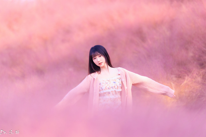 陽光+粉黛草+美女=愛情小說封面