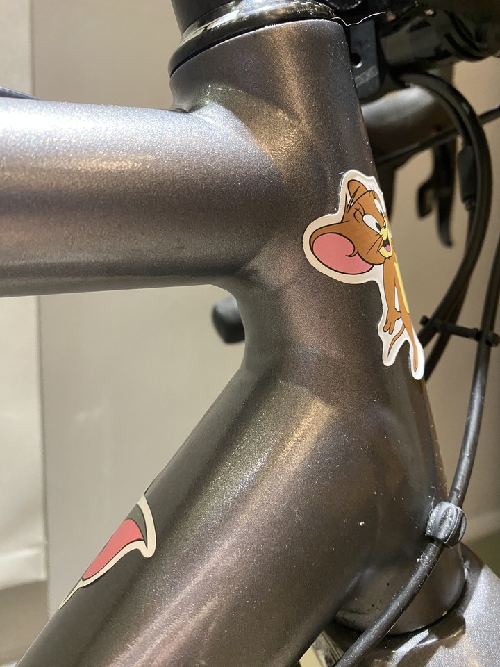 自改電輔旅行車 2015 cannondale caadx 與100G套件感想