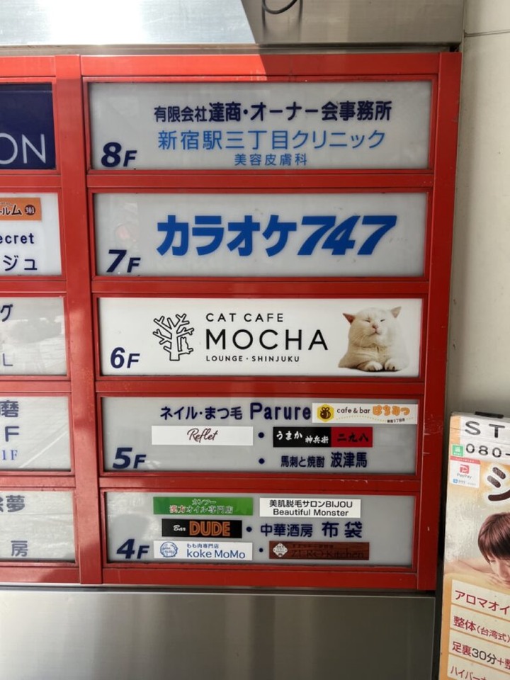 【遊記】東京丨CAT CAFE MOCHA LOUNGE新宿店丨貓咪咖啡廳