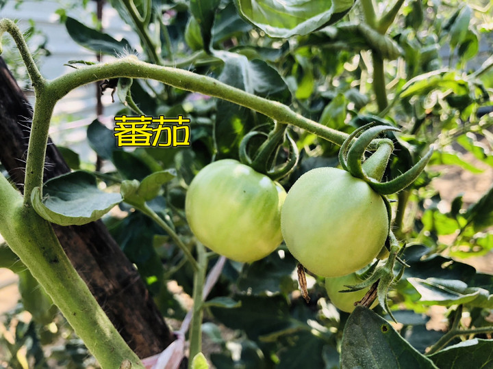 有錢買塊農地吧~~~