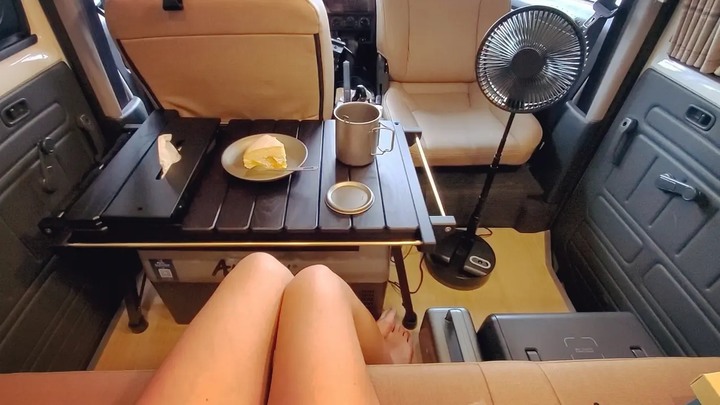 露營車環島車中泊/車泊點/在地美食