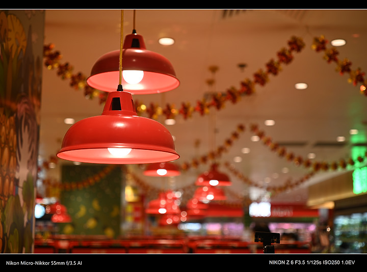 帶 Nikon 55mmf 3.5 AI 亂影一天