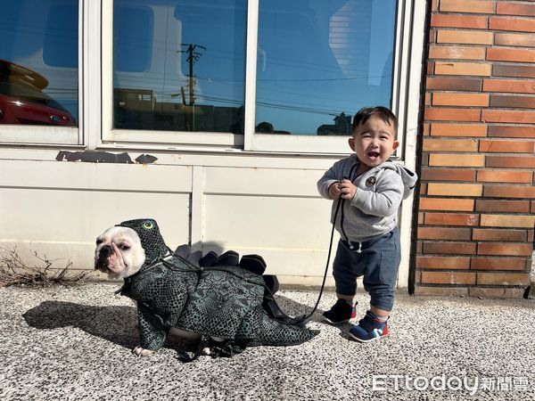 從小一起長大!弟弟和狗哥「不屑表情神複製」爸笑:玩伴很重要