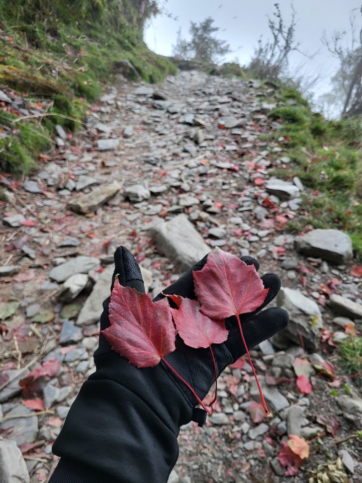 2022年玉山群峰行