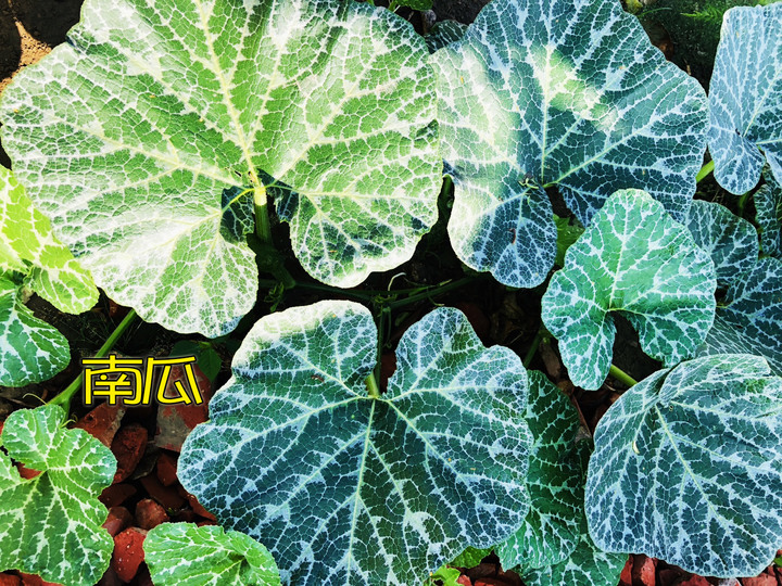 有錢買塊農地吧~~~