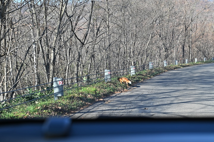 在錯的時間遇上錯的的天氣去北海道自由行