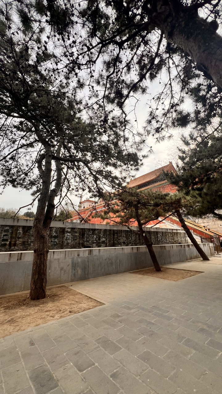 202311北京五日遊第四天