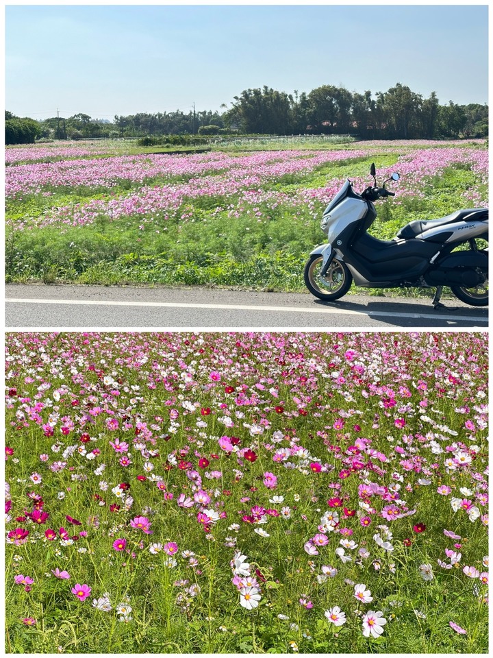 Yamaha NMAX不專業開箱