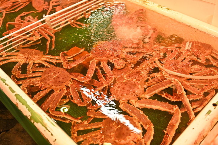 在錯的時間遇上錯的的天氣去北海道自由行