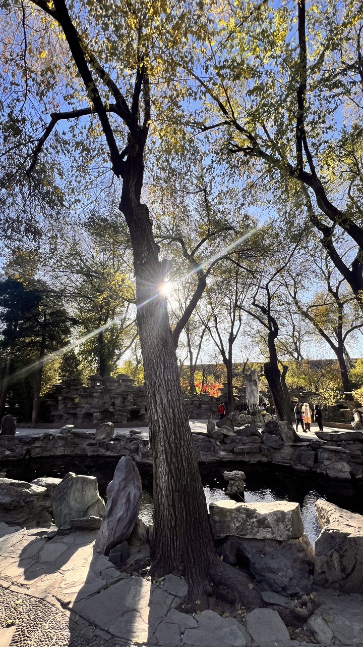 202311北京五日遊第三天