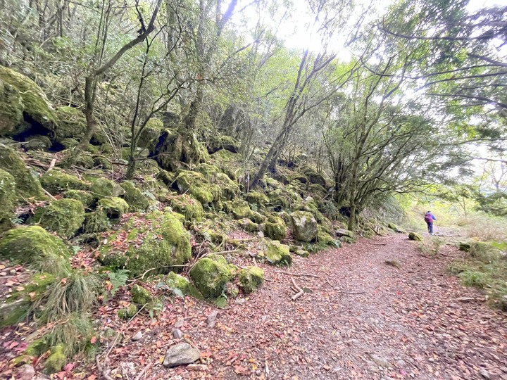遠的要命的登山口 ─ 塑膠車雙載之一日往返小關山