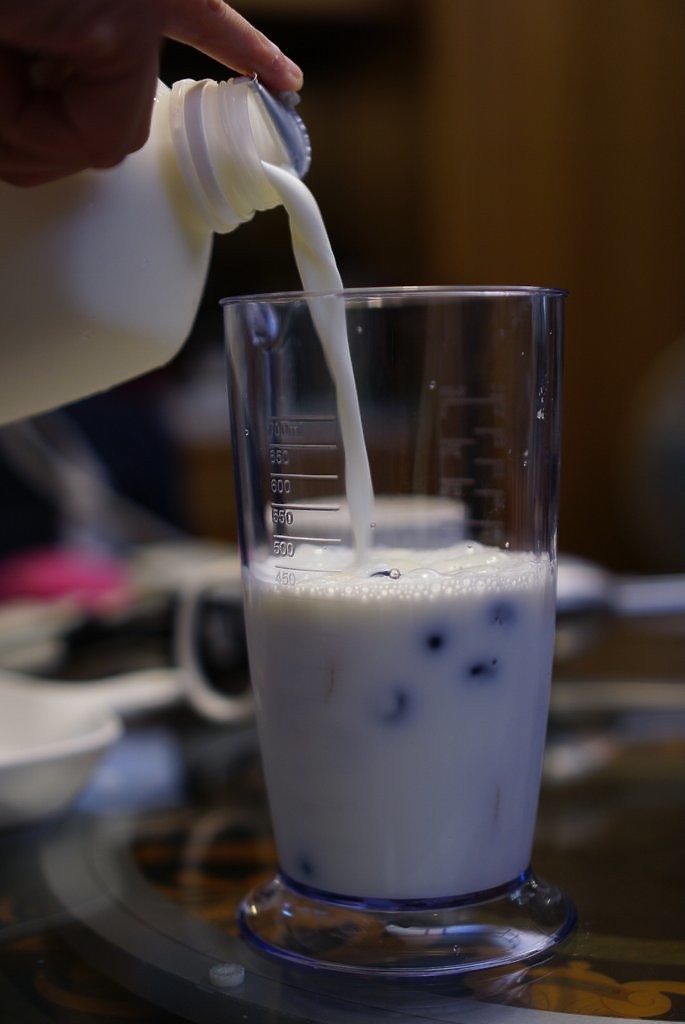 Hamilton Beach健康手持式攪拌機59766-TW|新手爸媽的副食品好幫手