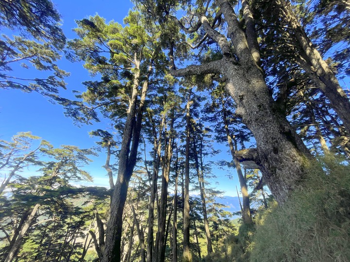 遠的要命的登山口 ─ 塑膠車雙載之一日往返小關山