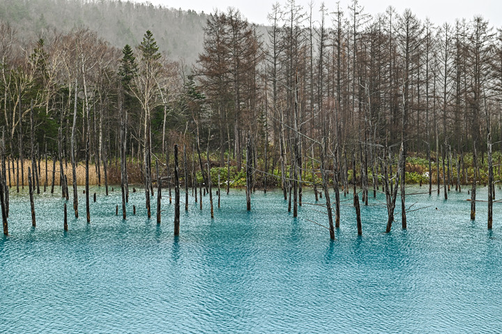 在錯的時間遇上錯的的天氣去北海道自由行