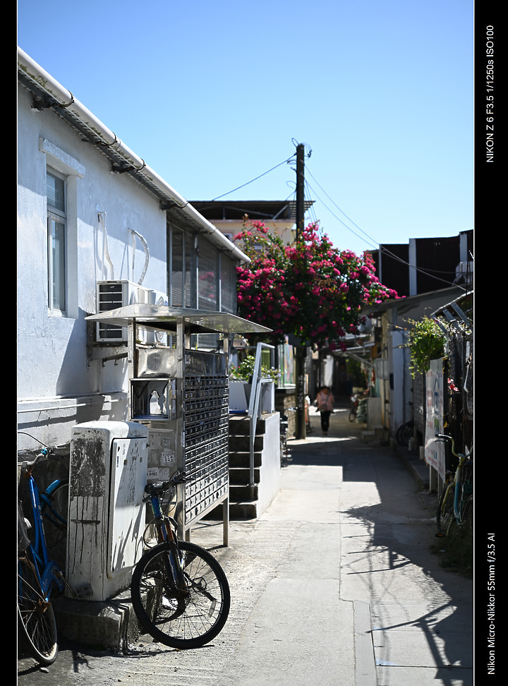 帶 Nikon 55mmf 3.5 AI 亂影一天