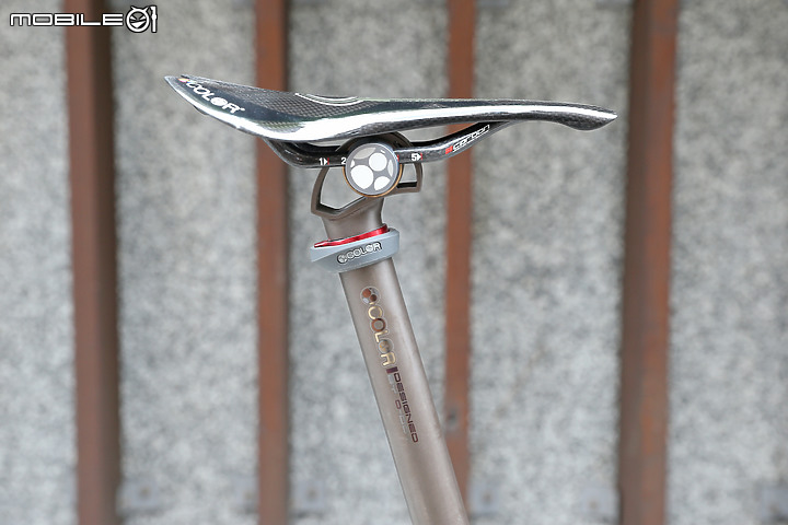 點我看大圖 2019 Riese & Müller BIRDY TITANIUM CUSTOM Ti No.237 of 250 鈦 緊繃