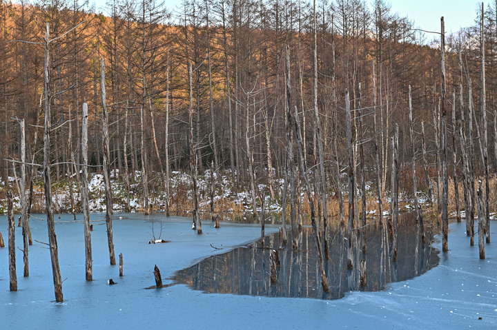 在錯的時間遇上錯的的天氣去北海道自由行