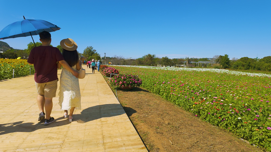 用 DJI Osmo Pocket 3 來拍 新社花海 / 增加影片