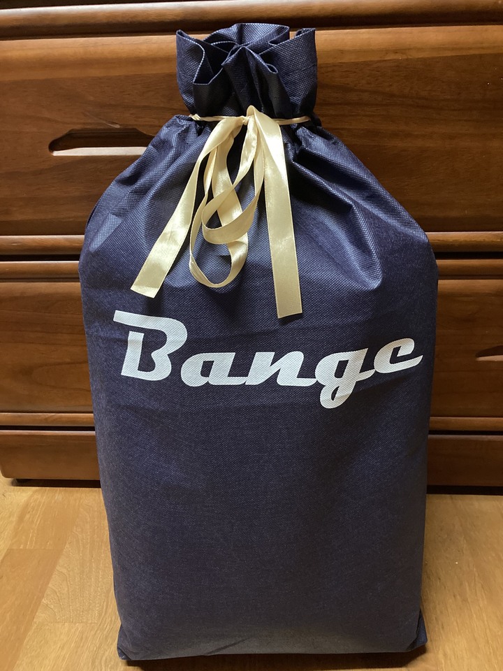 Bange 班格 完全防水 防盜晶片 人體工學零負重- 挺立後背包開箱