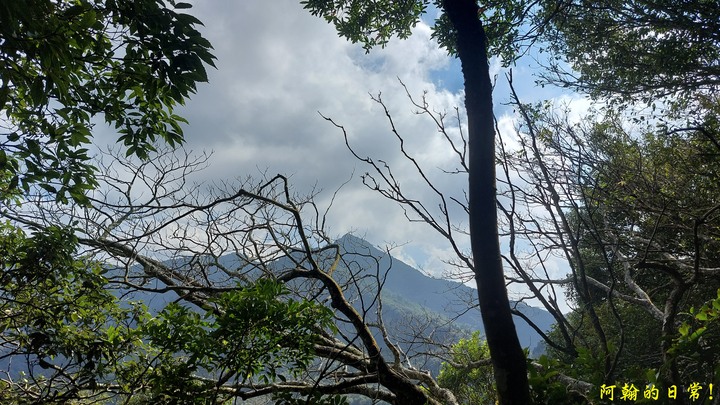 馬那邦山 原始楓林!|細道邦山 豆腐?棺材?