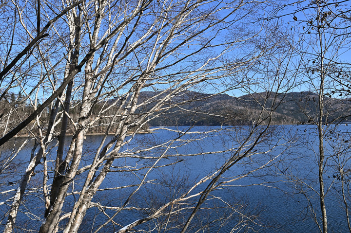在錯的時間遇上錯的的天氣去北海道自由行