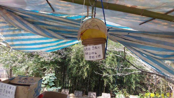 馬那邦山 原始楓林!|細道邦山 豆腐?棺材?