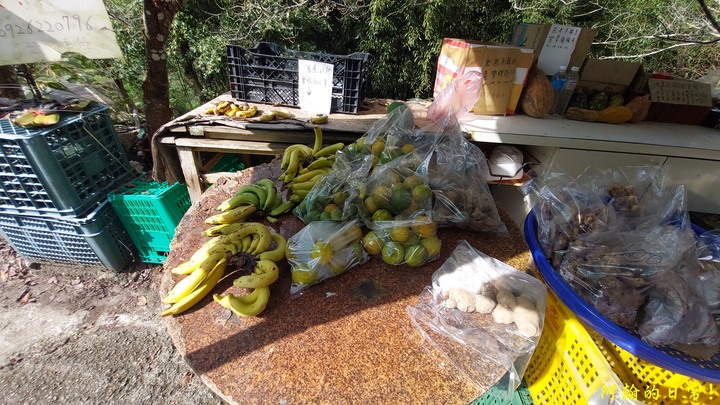 馬那邦山 原始楓林!|細道邦山 豆腐?棺材?